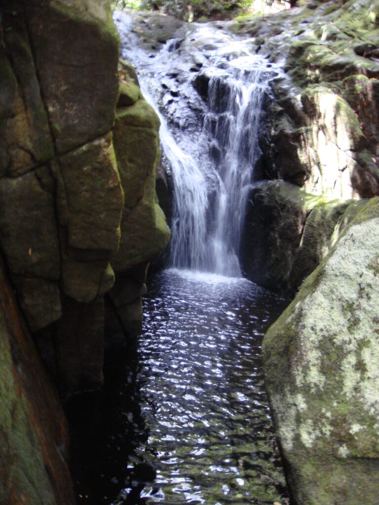 la ganm tropical proprietary limited 768x1024