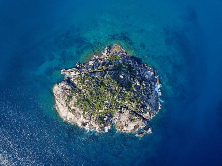 la maison hibiscus 768x577