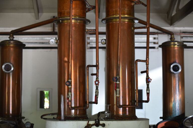 ladies circle in seychelles lcs 768x513