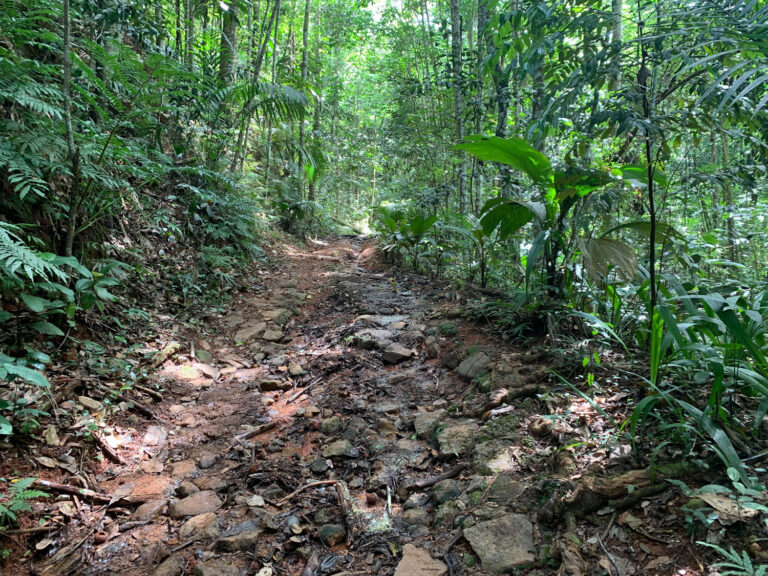 lakaz an bwa 768x576