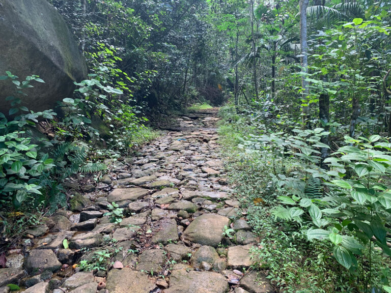 lakaz kreol pty ltd 768x576