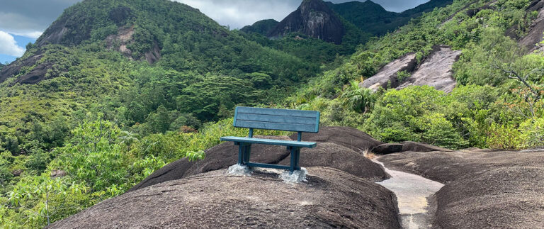 laurent levy digifot 768x323