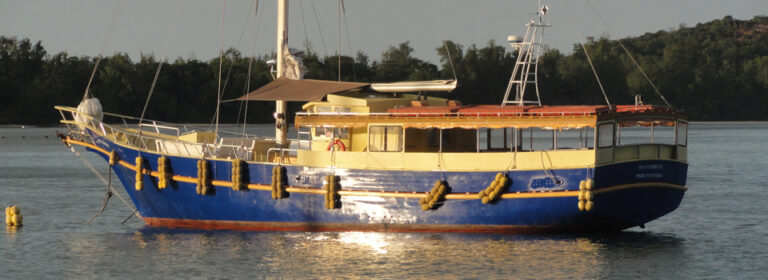 ldj seychelles 768x280