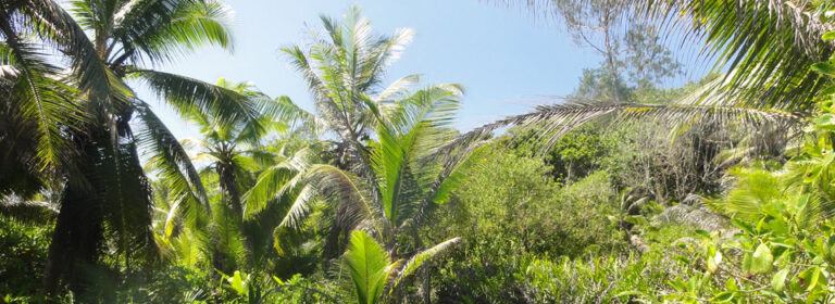 le cabanon de laura boutique 768x280