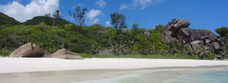 le chevalier 768x280