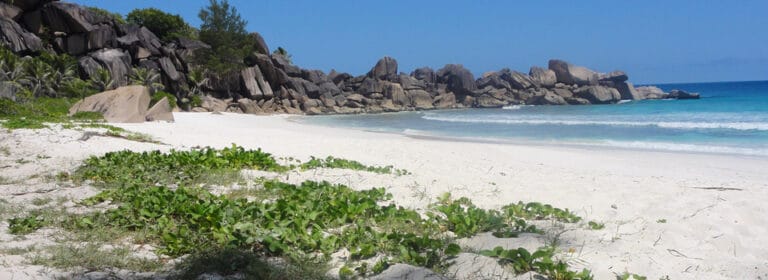 le duc de praslin 768x280