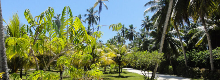 le manglier self catering 768x280