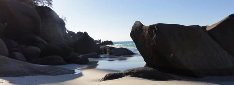 le palm seychelles 768x280