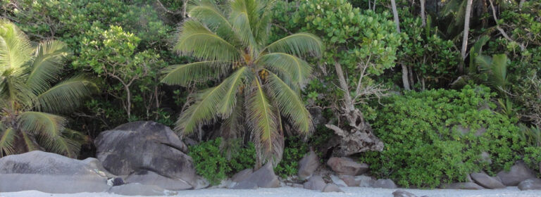 le port guesthouse 768x280