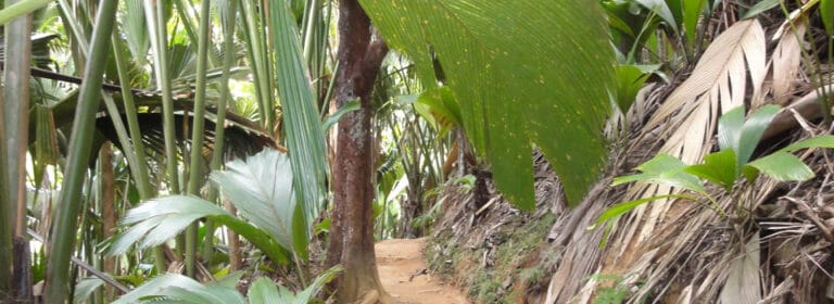 le relax beach resort 768x280