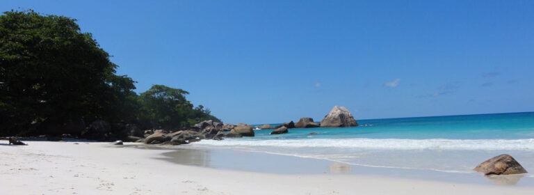 lebon construction 768x280