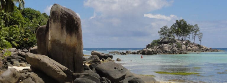 leper watch repairs engraving shop 768x280