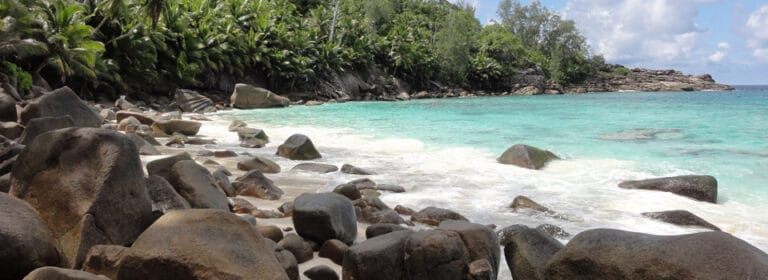 lilot beach chalets 768x280