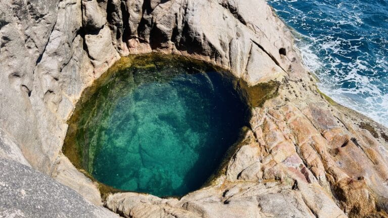 lone plant hire and construction company pty ltd 768x432