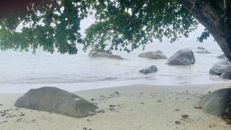 love for your ride seychelles 768x432