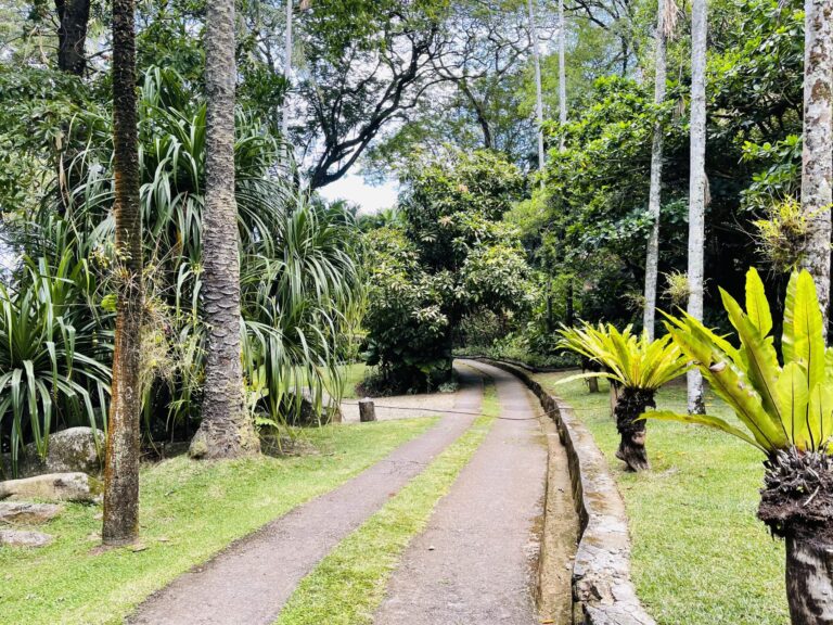 lucie a pool attorney at law notary 768x576