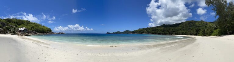 lulus hideaway 768x205