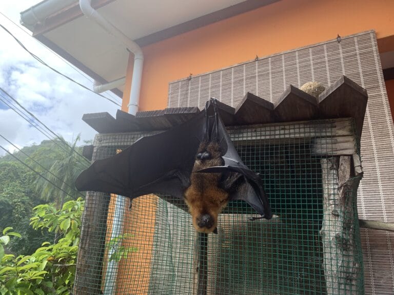 m arnephie clothing seychelles 768x576