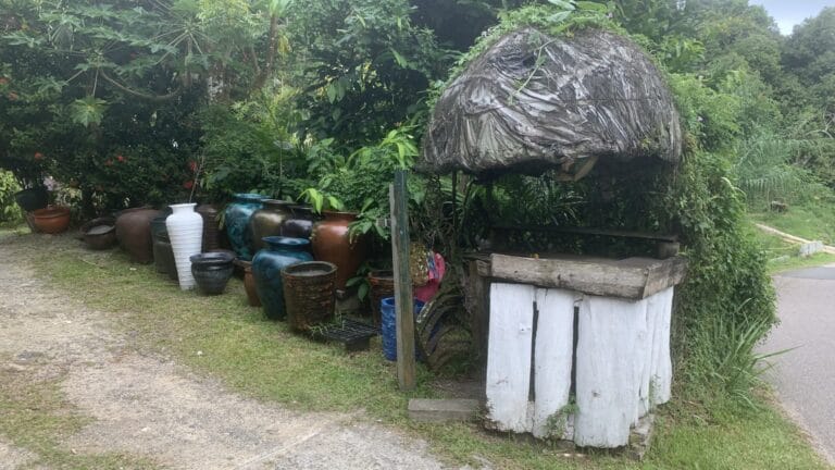 m s supermarket 768x432