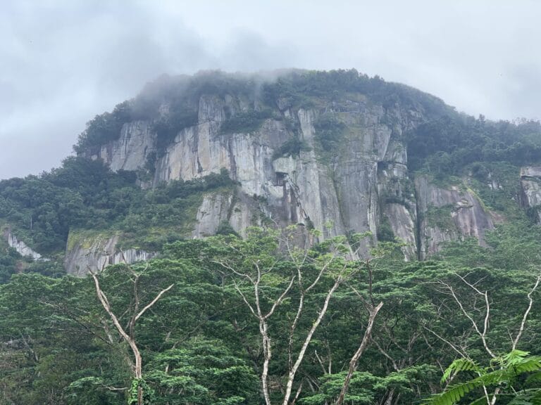 mahe auto parts industries pty ltd 768x576