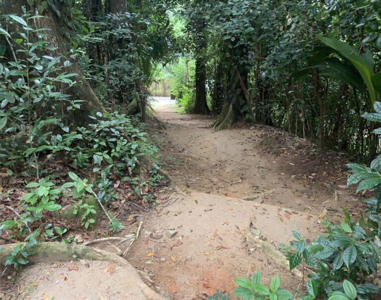 mahe design build 768x605