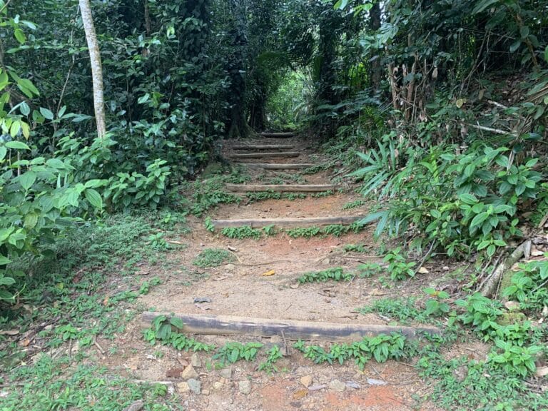 mahe distributors 768x576