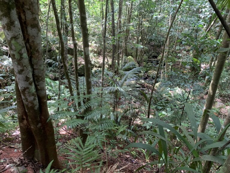 maison lhorizon 768x576