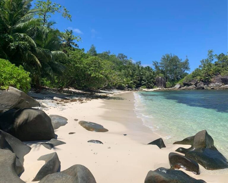 Profile mango lodge self catering apartments 768x616