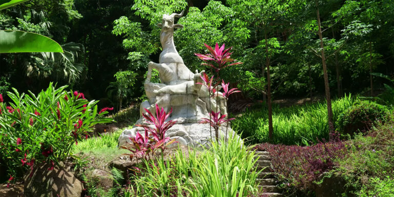 marie anne kwan 768x384