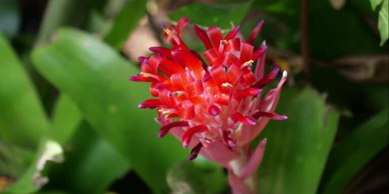 marie miss lynn christine 768x384