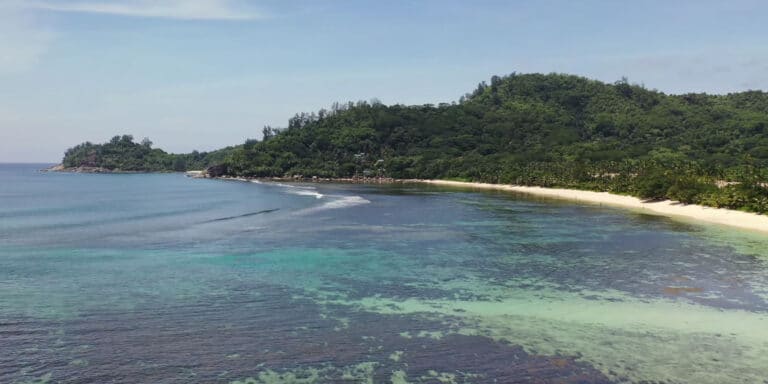 mauras hairdressing salon 768x384