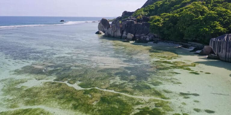 mehta electricals seychelles proprietary 768x384