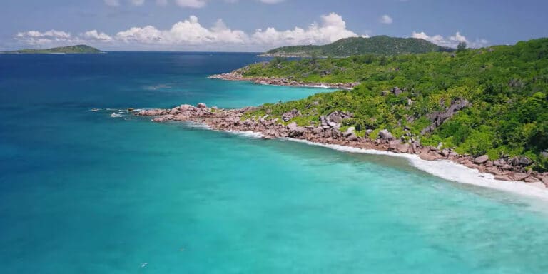 memento media pty ltd 768x384