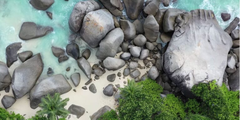 metaluco seychelles pty ltd 768x384