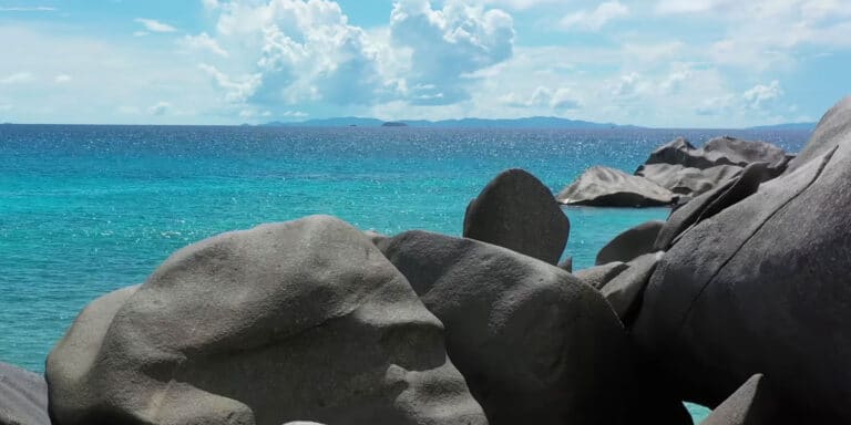 mgm polaad sey ltd 768x384