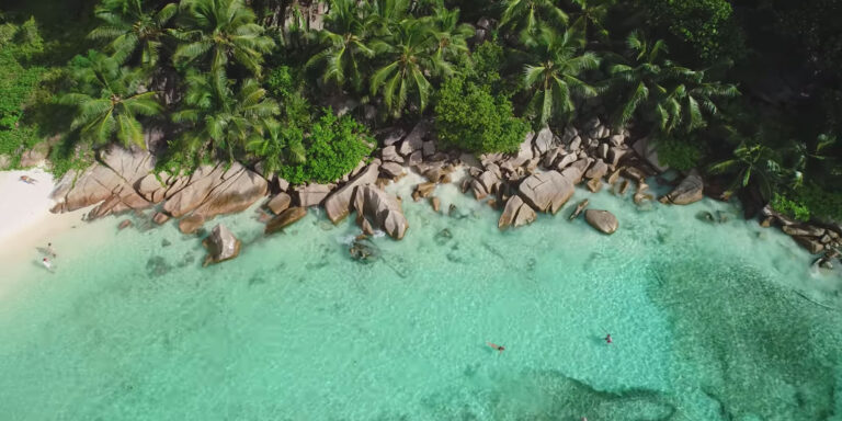 mikes workshop 768x384