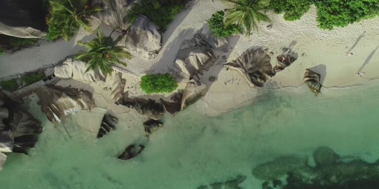 Profile ministry of environment energy and climate change republic of seychelles 768x384