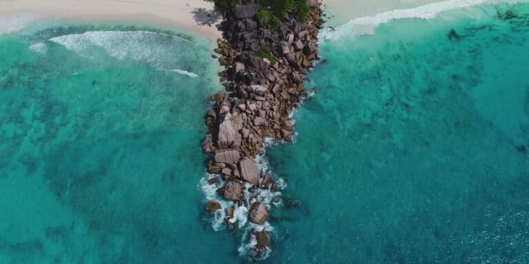 mirifick the artist 768x384