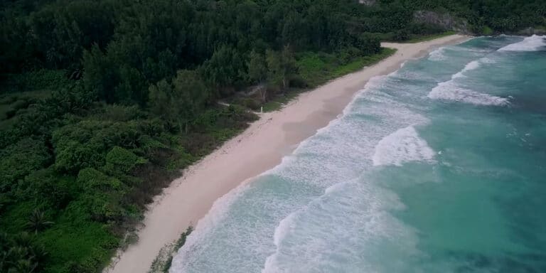 miss regatta 2015 768x384