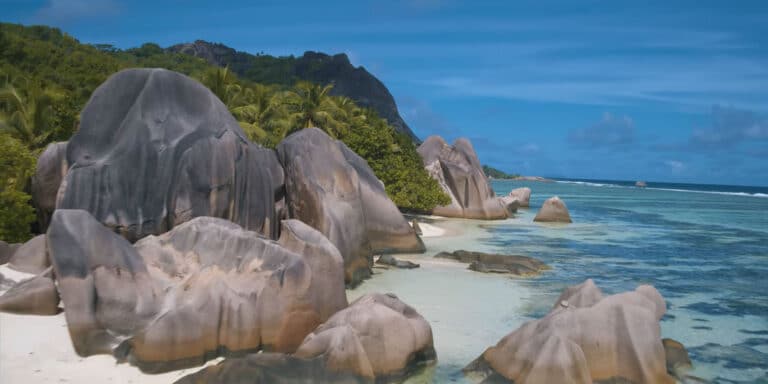 mondon catering pty ltd 768x384