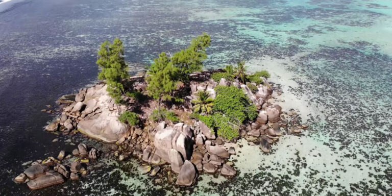 montessori international school seychelles 768x384