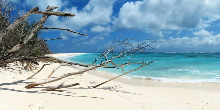 moutia rum seychelles 768x384