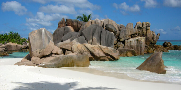 Profile mua seychelles co ltd 768x384