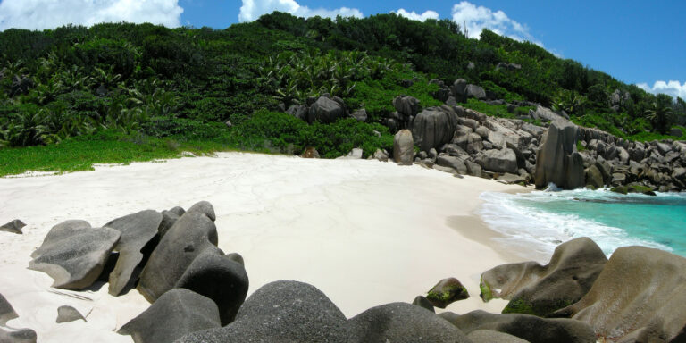 murali mini market 768x384