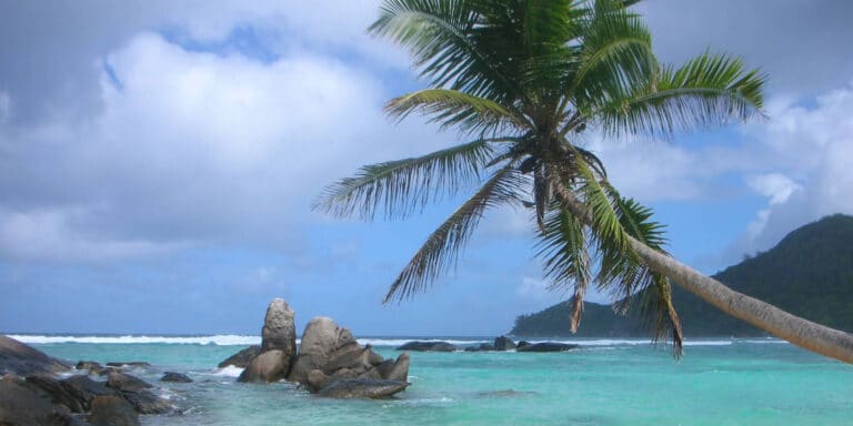 murugesan store 768x384