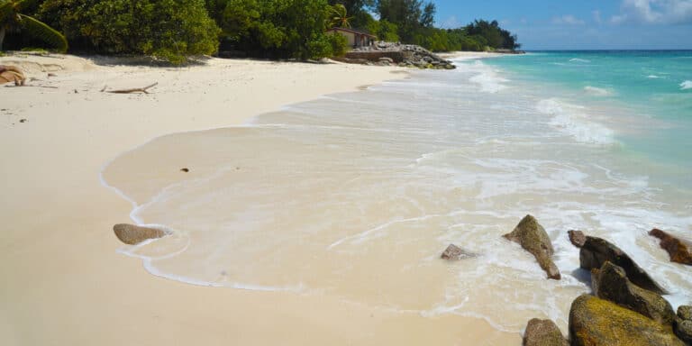music got wings seychelles 768x384