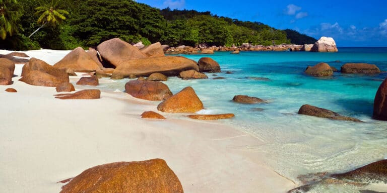 must have seychelles 768x384