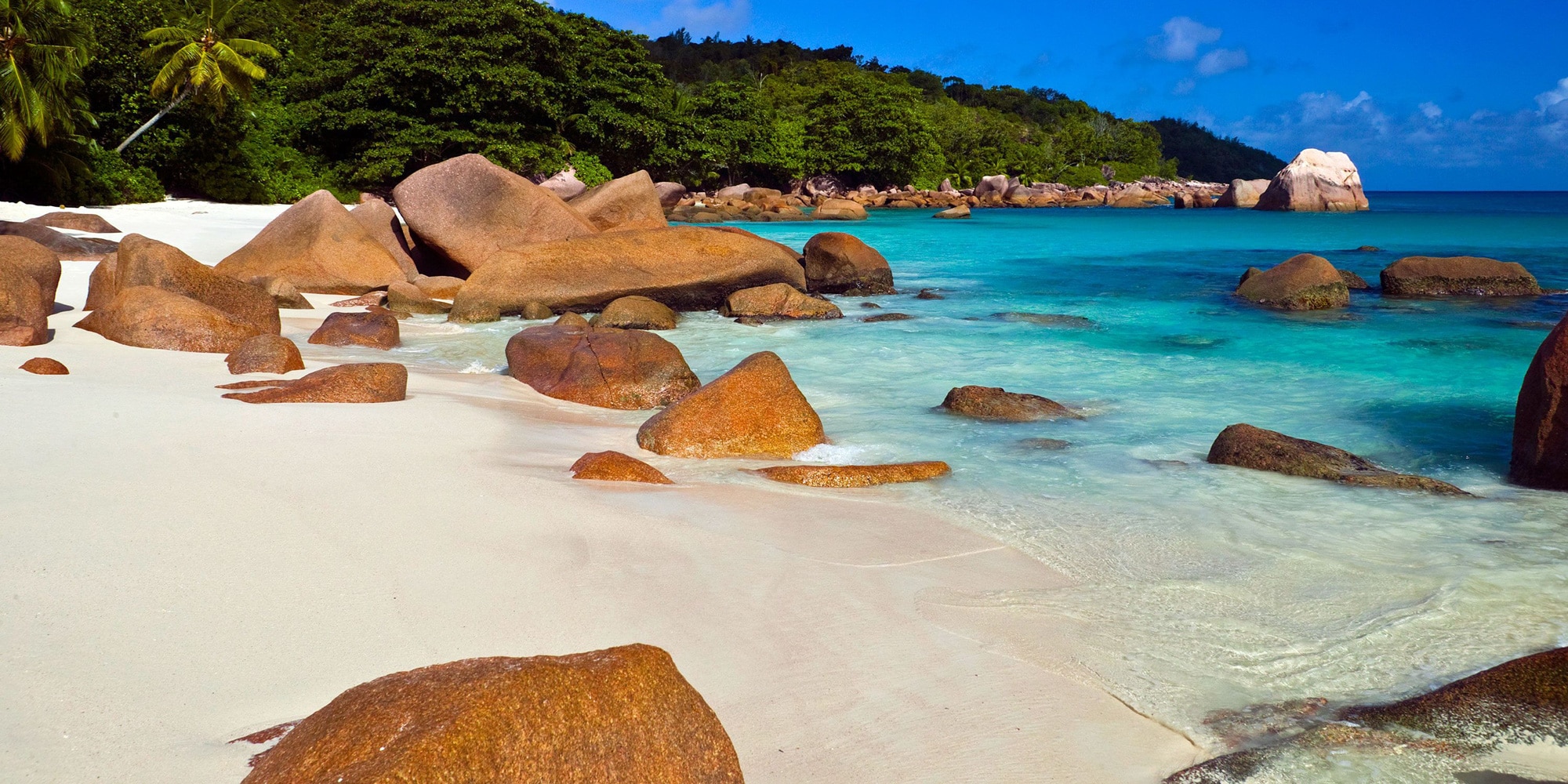 must have seychelles