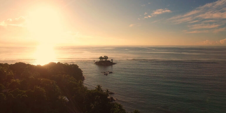 naliini r properties 768x384