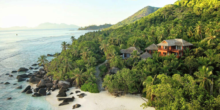 national council for the elderly 768x384